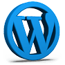 Icon Wordpress
